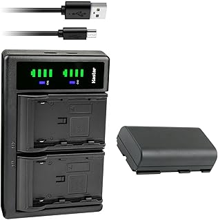Kastar 1-Pack Battery and LTD2 USB Charger Replacement for Canon ES8100V, ES8200V, ES8400V, ES8600, G10, G10Hi, G15Hi, G20Hi, G30Hi, G35Hi, G45Hi, G1000, G1500, G2000, GL1 GL-1 DM-GL1, GL2 GL-2 DM-GL2