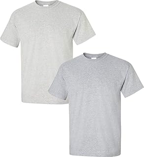 Men's Ultra Cotton T-Shirt, Style G2000, 2-Pack XL-Ash+Sportsgrey