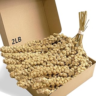 Jmxu's 2LB Spray Millet Treat for Birds Parakeets, Natural Sun-Dried Birds Millet for Cockatiel, Finches, Parrots, Hamster