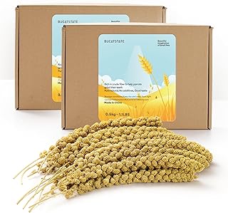 BUCATSTATE 2.2lbs Millet for Birds, Sun-Dried Parakeet Food for Parrot, Budgie, Cockatiel, Finches, Lovebird, GMO-Free Parakeet Treats (2.2lbs)