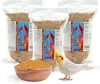 Morning Bird Red Proso Millet Bird Seeds 4.5 lbs (3-Pack, 1.5 lbs Each) – Healthy & Nutritious Pet Bird Food - Bird Seeds for Feather Growth – Perfect for Finches, Parakeets & Other All Pet Birds