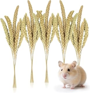 Sukh Hamster Millet Sprays - Natural Millets Hamster Bedding Decor Cages And Habitats Accessories Spray For Dwarf Syrian Hamsters Chinchilla Squirrel And Birds(12.6In,30Pcs)