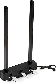 LP1B 3-Pedal Unit for P225, P125, P121, P515, PS500 and DGX670 ,Black